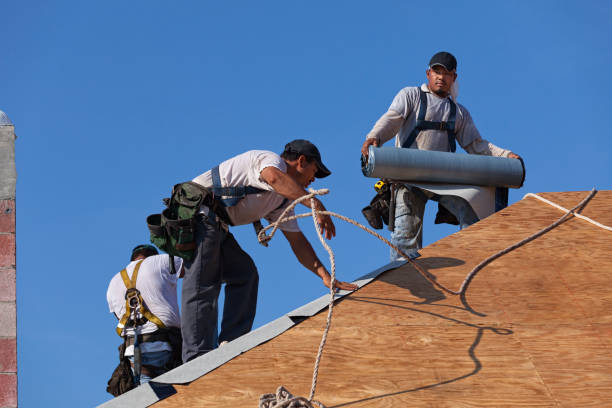 Best Emergency Roof Repair  in Sulligent, AL