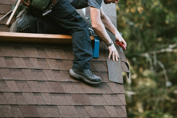 Best Metal Roofing Contractor  in Sulligent, AL